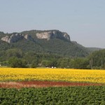 gal-1228126811-pic10