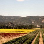 gal-1228126811-pic11